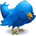 twitter bird